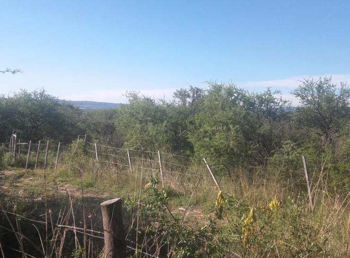 Terreno en Las Rabonas — Venta, foto 6 de 6