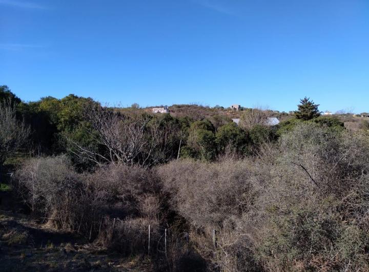Lote en El Pueblito, Córdoba — Álvarez Thomas S/N — Venta, foto 1 de 8
