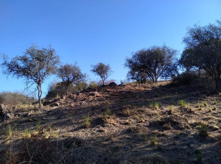 Lote en El Pueblito, Córdoba — Álvarez Thomas S/N — Venta, foto 3 de 8