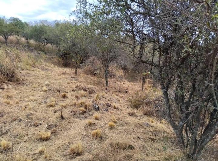 Lote en El Pueblito, Córdoba — Álvarez Thomas S/N — Venta, foto 5 de 8