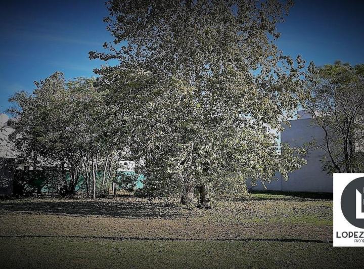 Lote en Jardín de Las Tejas — Tejas II - Jardin de las Tejas - Zona sur — Venta, foto 4 de 6