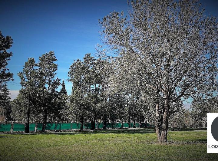 Lote en Jardín de Las Tejas — Tejas II - Jardin de las Tejas - Zona sur — Venta, foto 5 de 6