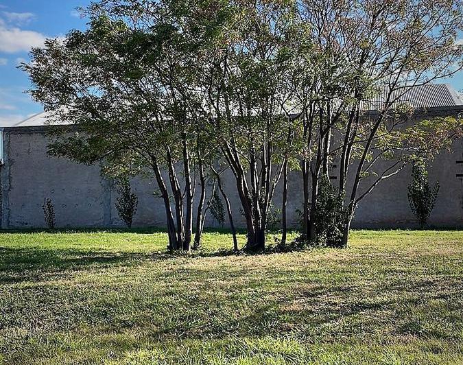 Lote en Jardín de Las Tejas — Tejas II - Jardin de las Tejas - Zona sur — Venta, foto 6 de 6
