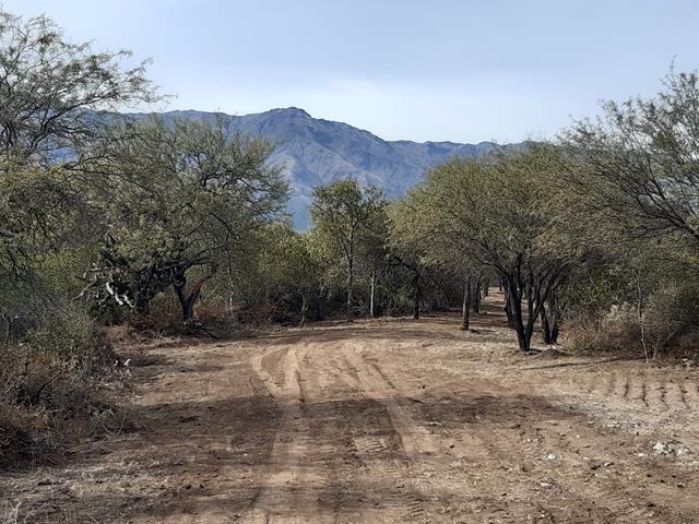 Lote en San Javier — Terrenos Desde 3 mil m2 en Venta en San Javier, Traslasierra!! — Venta, foto 2 de 8