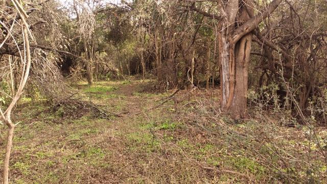 Lote en San Javier — Terrenos Desde 3 mil m2 en Venta en San Javier, Traslasierra!! — Venta, foto 3 de 8