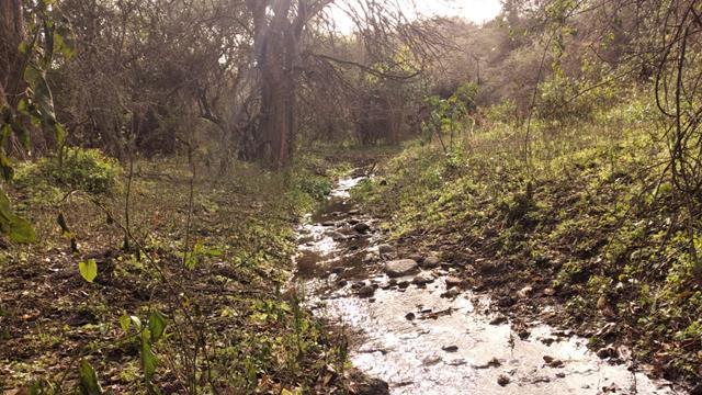 Lote en San Javier — Terrenos Desde 3 mil m2 en Venta en San Javier, Traslasierra!! — Venta, foto 4 de 8