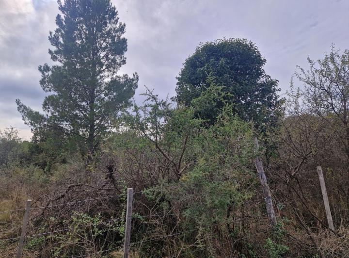 Terreno en Los Hornillos, Traslasierra — En Venta Terreno, Ubicación, Vistas, Escritura en Los Hornillos, Traslasierra!! — Venta, foto 4 de 8
