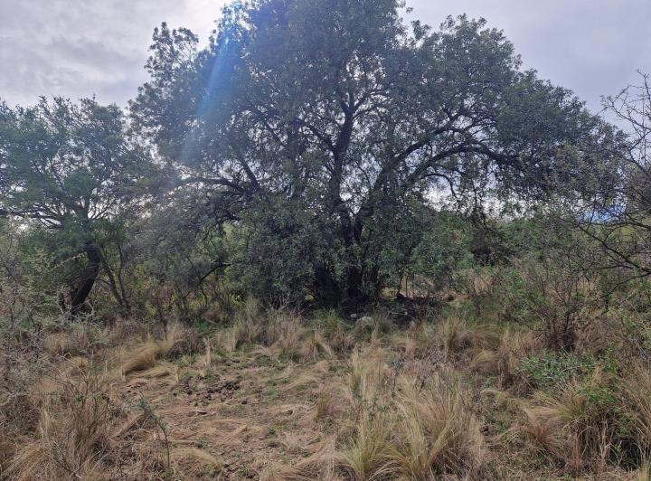 Terreno en Los Hornillos, Traslasierra — En Venta Terreno, Ubicación, Vistas, Escritura en Los Hornillos, Traslasierra!! — Venta, foto 5 de 8