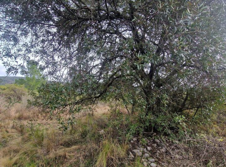 Terreno en Los Hornillos, Traslasierra — En Venta Terreno, Ubicación, Vistas, Escritura en Los Hornillos, Traslasierra!! — Venta, foto 6 de 8
