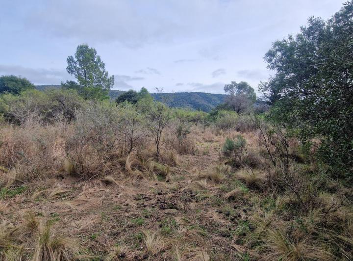 Terreno en Los Hornillos, Traslasierra — En Venta Terreno, Ubicación, Vistas, Escritura en Los Hornillos, Traslasierra!! — Venta, foto 7 de 8