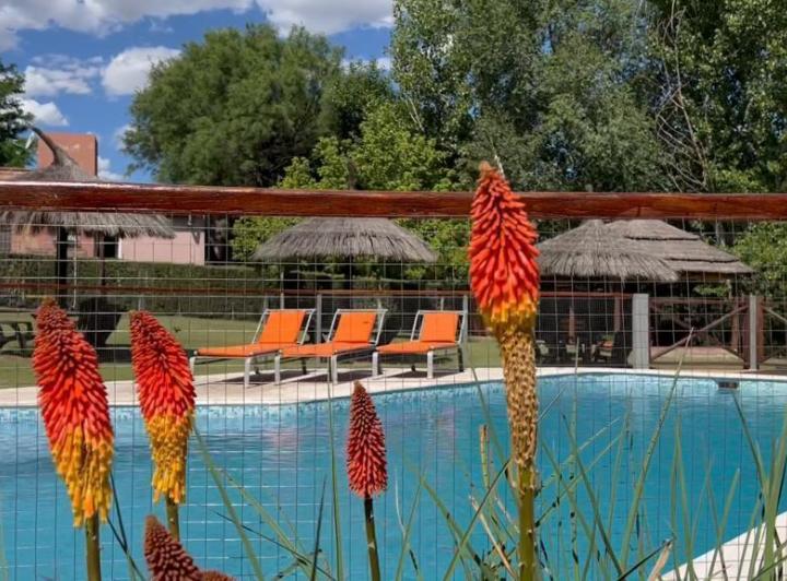 Casa 7 ambientes en Villa Lujan — Barrio Villa Lujan Mina Clavero Córdoba — Venta, foto 4 de 8