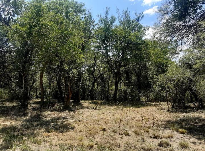 Lote en Solares del Champaquí, Villa de Las Rosas — Terreno en Venta, Hermoso,,,naturaleza a Pleno.. Camino Barranca de Los Loros , Con Escritura!1 en Traslasierra!! — Venta, foto 1 de 5