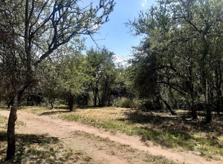 Lote en Solares del Champaquí, Villa de Las Rosas — Terreno en Venta, Hermoso,,,naturaleza a Pleno.. Camino Barranca de Los Loros , Con Escritura!1 en Traslasierra!! — Venta, foto 2 de 5