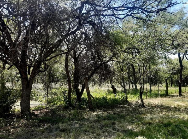 Lote en Solares del Champaquí, Villa de Las Rosas — Terreno en Venta, Hermoso,,,naturaleza a Pleno.. Camino Barranca de Los Loros , Con Escritura!1 en Traslasierra!! — Venta, foto 4 de 5