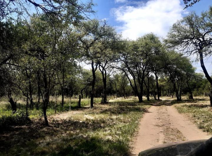 Lote en Solares del Champaquí, Villa de Las Rosas — Terreno en Venta, Hermoso,,,naturaleza a Pleno.. Camino Barranca de Los Loros , Con Escritura!1 en Traslasierra!! — Venta, foto 5 de 5