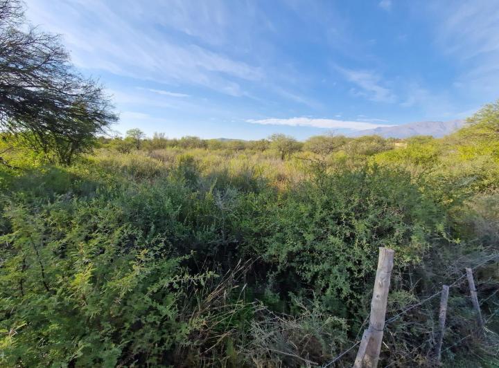 Lote en Las Tapias — Ruta 20 Las Tapias, Traslasierra!! — Venta, foto 5 de 8