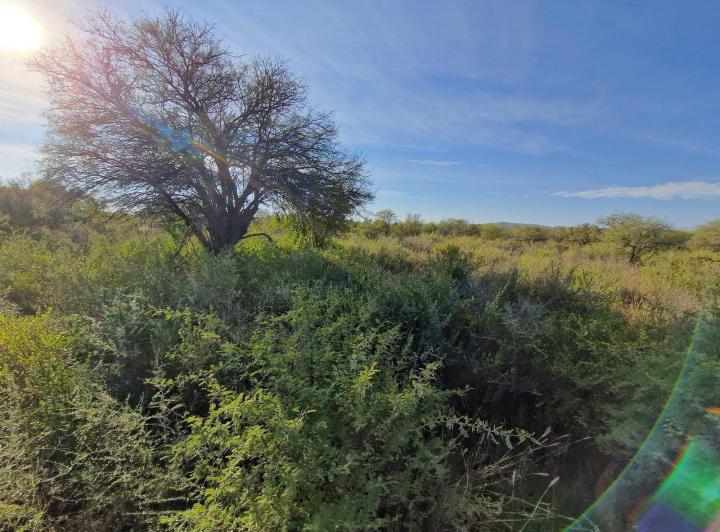 Lote en Las Tapias — Ruta 20 Las Tapias, Traslasierra!! — Venta, foto 6 de 8