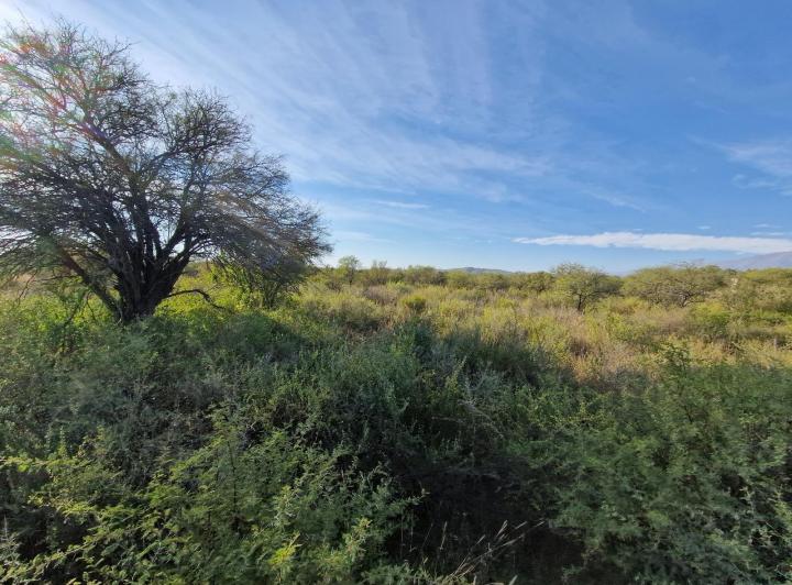 Lote en Las Tapias — Ruta 20 Las Tapias, Traslasierra!! — Venta, foto 7 de 8