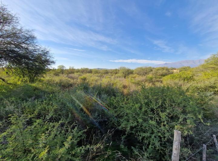 Lote en Las Tapias — Ruta 20 Las Tapias, Traslasierra!! — Venta, foto 8 de 8