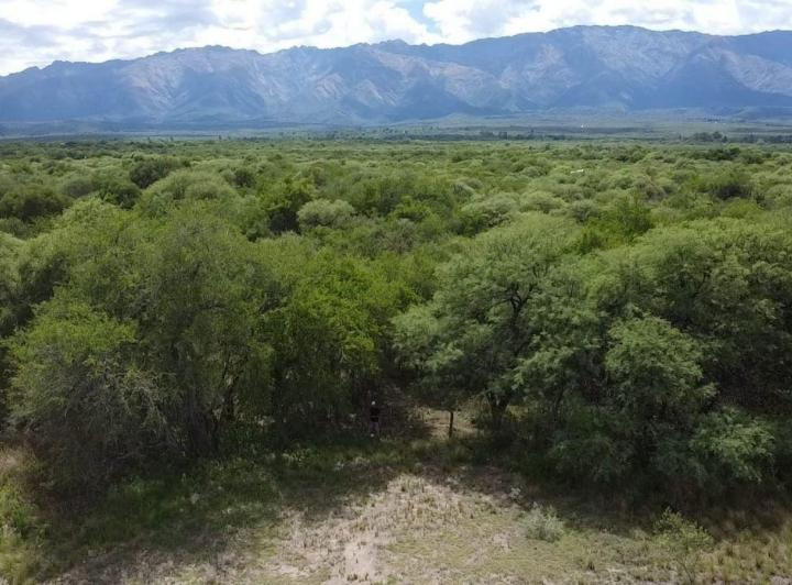 Campo en Villa de Las Rosas — Villa de Las Rosas 11,6 Hectareas de Monte Nativo - con Escritura / Servicios. Traslasierra!! — Venta, foto 1 de 8