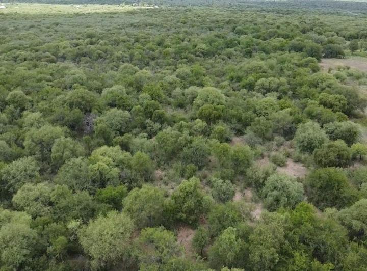 Campo en Villa de Las Rosas — Villa de Las Rosas 11,6 Hectareas de Monte Nativo - con Escritura / Servicios. Traslasierra!! — Venta, foto 4 de 8