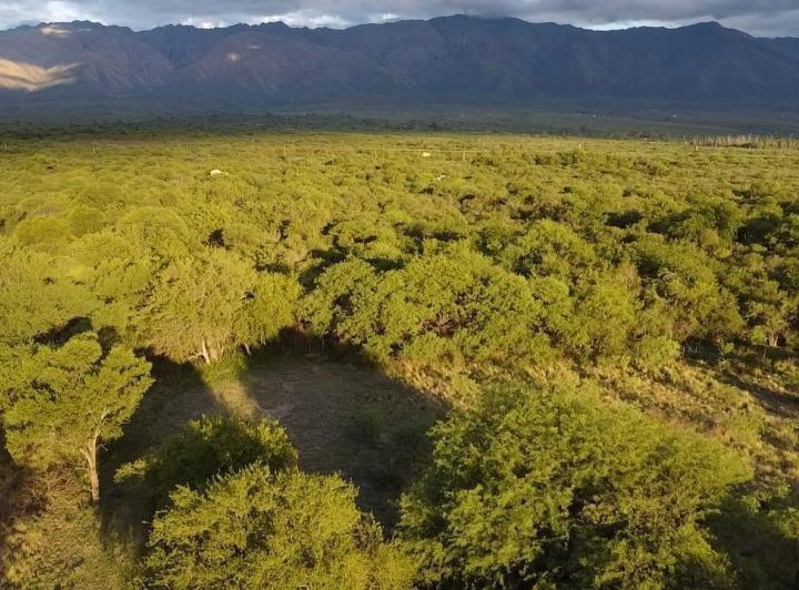 Campo en Villa de Las Rosas — Villa de Las Rosas 11,6 Hectareas de Monte Nativo - con Escritura / Servicios. Traslasierra!! — Venta, foto 5 de 8