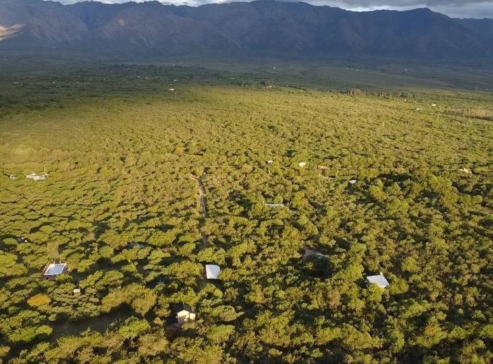 Campo en Villa de Las Rosas — Villa de Las Rosas 11,6 Hectareas de Monte Nativo - con Escritura / Servicios. Traslasierra!! — Venta, foto 6 de 8