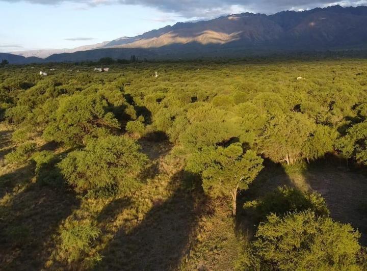 Campo en Villa de Las Rosas — Villa de Las Rosas 11,6 Hectareas de Monte Nativo - con Escritura / Servicios. Traslasierra!! — Venta, foto 7 de 8