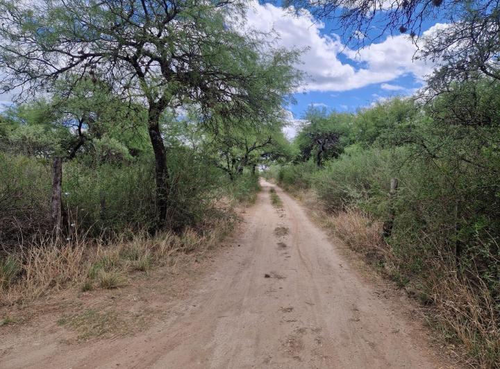 Casa 6 ambientes en Yacanto Traslasierra — Casa con Terreno de 5.000 m2, Arboles y Calma en Yacanto Traslasierra!! — Venta, foto 3 de 8