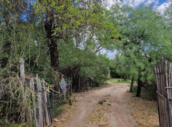 Casa 6 ambientes en Yacanto Traslasierra — Casa con Terreno de 5.000 m2, Arboles y Calma en Yacanto Traslasierra!! — Venta, foto 4 de 8