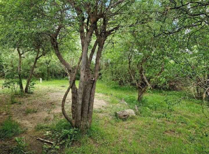 Casa 6 ambientes en Yacanto Traslasierra — Casa con Terreno de 5.000 m2, Arboles y Calma en Yacanto Traslasierra!! — Venta, foto 8 de 8