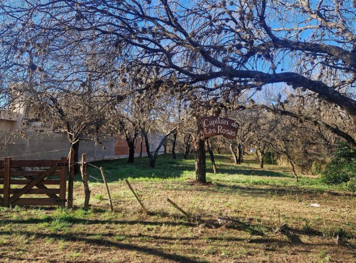 Lote en Venta en Los Pozos, Traslasierra — Terreno en Venta, con Arboles, Servicios, en Los Pozos, Traslasierra!! — Venta, foto 5 de 8