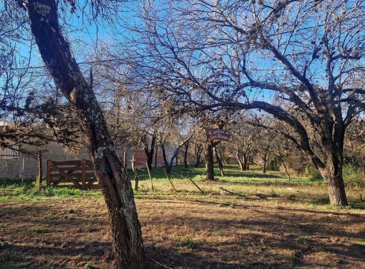 Lote en Venta en Los Pozos, Traslasierra — Terreno en Venta, con Arboles, Servicios, en Los Pozos, Traslasierra!! — Venta, foto 6 de 8