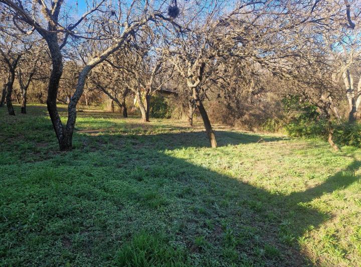 Lote en Venta en Los Pozos, Traslasierra — Terreno en Venta, con Arboles, Servicios, en Los Pozos, Traslasierra!! — Venta, foto 7 de 8