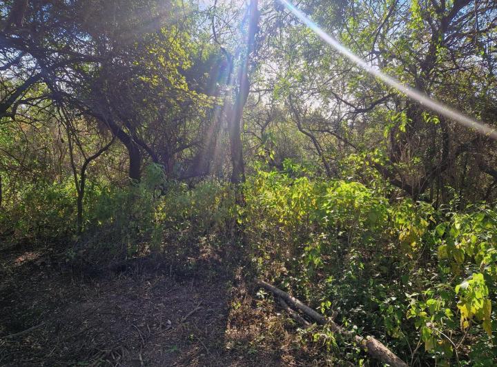 Lote en Los Molles, Traslasierra — Terreno en Venta de 2.550 m2 en Los Molles, Traslasierra!! — Venta, foto 6 de 8