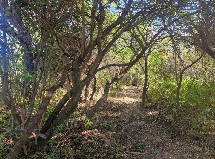 Lote en Los Molles, Traslasierra — Terreno en Venta de 2.550 m2 en Los Molles, Traslasierra!! — Venta, foto 7 de 8