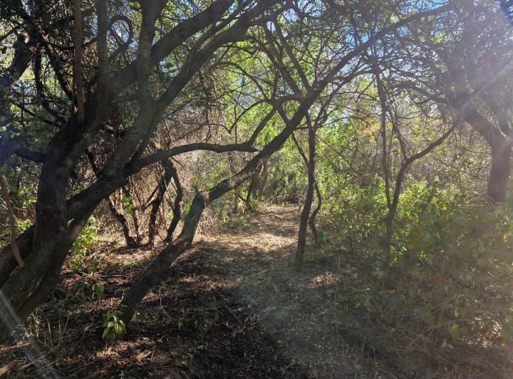 Lote en Los Molles, Traslasierra — Terreno en Venta de 2.550 m2 en Los Molles, Traslasierra!! — Venta, foto 8 de 8