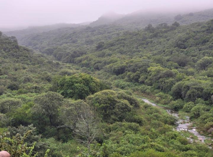 Campo en Tulumba — Tulumba, Sobre Camino Real. — Venta, foto 1 de 8