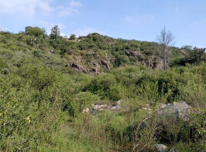 Campo en Tulumba — Tulumba, Sobre Camino Real. — Venta, foto 6 de 8