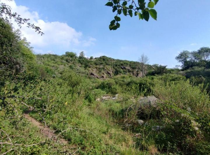 Campo en Tulumba — Tulumba, Sobre Camino Real. — Venta, foto 8 de 8