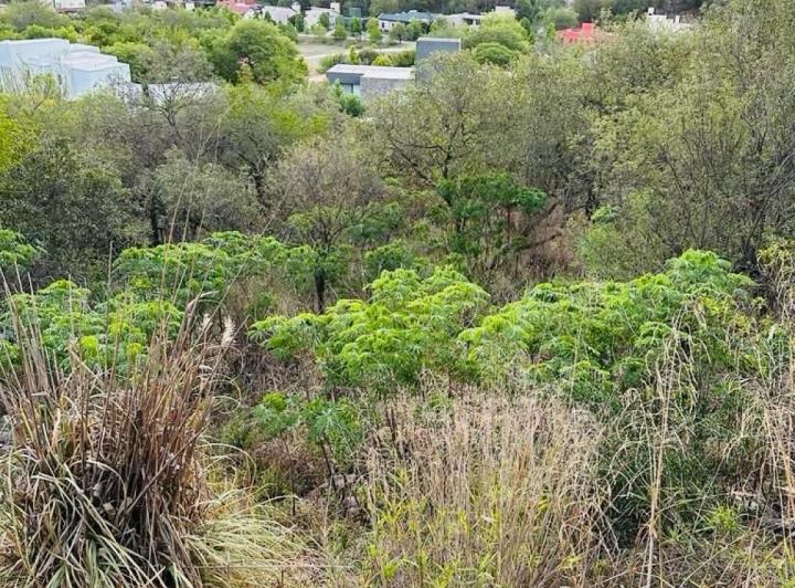 Lote en Estancia Q2 — Venta - Lote 1.025 m² en Estancia Q2 — Venta, foto 2 de 8