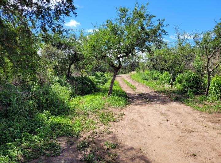 Lote en Los Molles — Los Molles Villa de Las Rosas Traslasierra Córdoba — Venta, foto 5 de 8