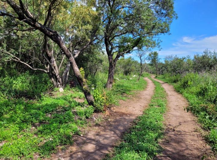 Lote en Los Molles — Los Molles Villa de Las Rosas Traslasierra Córdoba — Venta, foto 8 de 8
