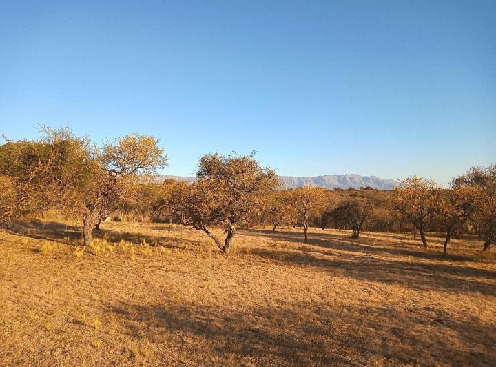 Casa 6 ambientes en Mina Clavero — Se Venden 2 Cabañas 120 m2 (terreno 1 Ha) con Inigualable Vista a las Sierras - Mina Clavero — Venta, foto 3 de 8