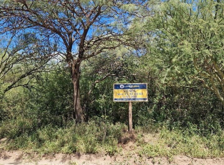 Lote en Las Tapias — Terreno de 6.000 m2 en Venta en Las Tapias, Traslasierra!! — Venta, foto 3 de 8