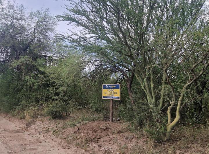 Lote en Las Tapias — Terreno de 6.000 m2 en Venta en Las Tapias, Traslasierra!! — Venta, foto 6 de 8