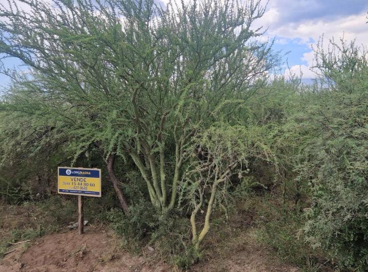 Lote en Las Tapias — Terreno de 6.000 m2 en Venta en Las Tapias, Traslasierra!! — Venta, foto 7 de 8