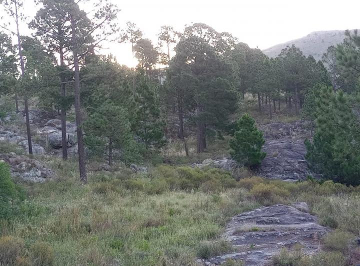 Lote en San Clemente, Córdoba — SAN Clemente Mza 17 Lote Valle de Paravachasca, Dpto Santa María, Córdoba, Argentina — Venta, foto 1 de 8