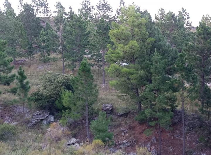 Lote en San Clemente, Córdoba — SAN Clemente Mza 17 Lote Valle de Paravachasca, Dpto Santa María, Córdoba, Argentina — Venta, foto 3 de 8