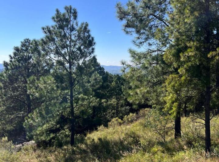 Lote en San Clemente, Córdoba — SAN Clemente Mza 17 Lote Valle de Paravachasca, Dpto Santa María, Córdoba, Argentina — Venta, foto 4 de 8